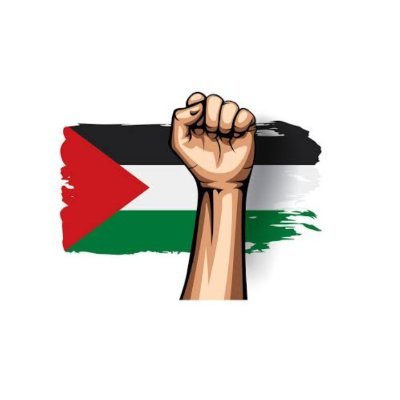 lodhi_zainkhan's profile picture. #pakistani #pakistanzindabad #Palestine