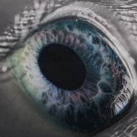 James O'Leary (@jpohhhh) 's Twitter Profile Photo