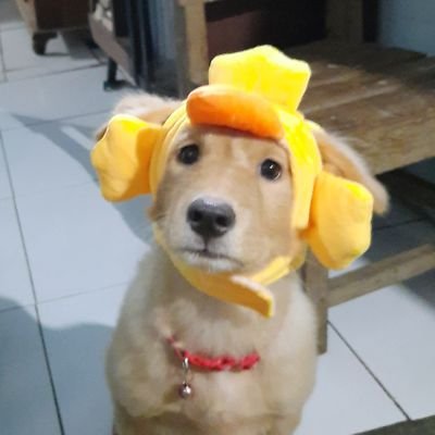 tovinta's profile picture. 