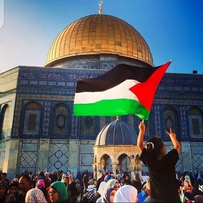 MuhammadTal5636's profile picture. 