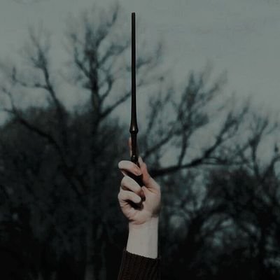 Parody fan account ---
Agent de liaison international au ministรจre de la magie.
| Mangemort ร ses heures perdues