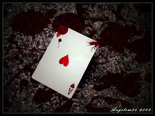 P0cketPairPoker's profile picture. 