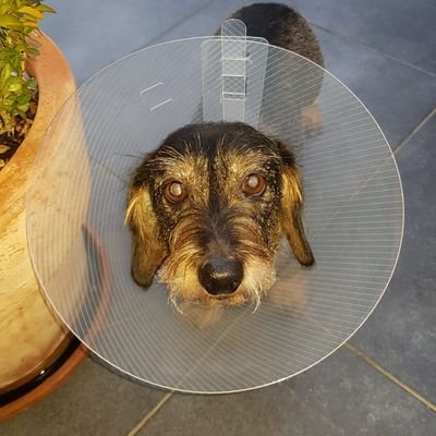 MorganFulham's profile picture. 