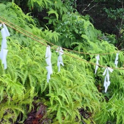 nihonichinomura's profile picture. 