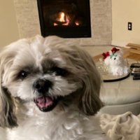 suzy p (@sickofitmomma) 's Twitter Profile