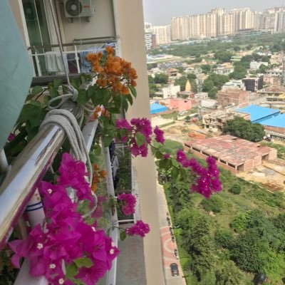 Rajeshaiit's profile picture. 