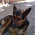 Tata Beto (@tata_beto_py) Twitter profile photo Tata Beto (@tata_beto_py) Twitter profile photo