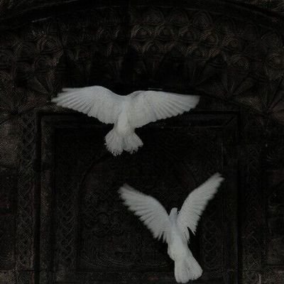 urbbgurlzz's profile picture. hi, I’m crypto girl.