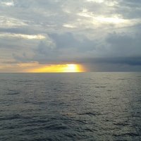 Ilana Trachtenberg (@ilanacmts) 's Twitter Profile