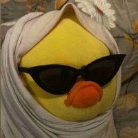 Piyush | pycz.dev (@piyushcodez) 's Twitter Profile