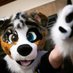 Sorni (@sornidoggo) Twitter profile photo Sorni (@sornidoggo) Twitter profile photo
