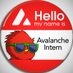 Avalanche Intern 🔺 (@AvalancheIntern) Twitter profile photo