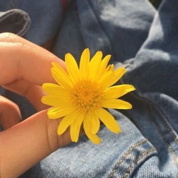 MissJune88's profile picture. Enamorada de la vida y de la chela !! 🍻