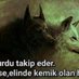 Kadir Arslan (@karslan14108) Twitter profile photo Kadir Arslan (@karslan14108) Twitter profile photo