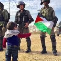 Ahmed Ayman (@ahmedayman2214) 's Twitter Profile