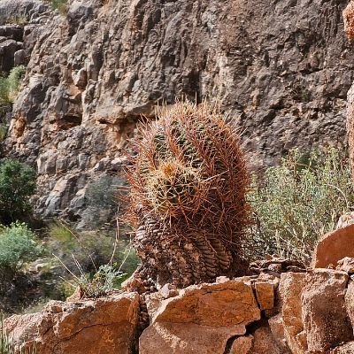 5356filler's profile picture. utah native.
aggressively mediocre.
call me what you want, just don't call me late for dinner.
if you're gonna practice virtues, practice all of them.