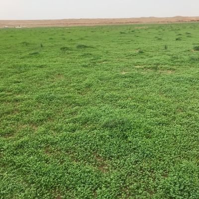 Mohmm26m's profile picture. الاستغفار أبسط أنواع السعاده ، أستغفر الله الذي لا اله الا هو الحي القيوم واتوب إليه