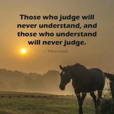 salmogord's profile picture. 