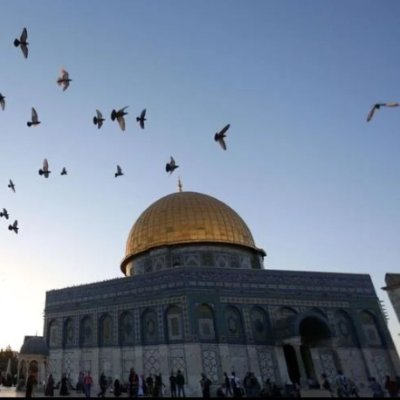 itumerr's profile picture. 