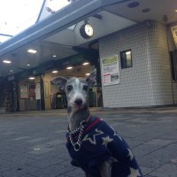 ヤッターマン (@apsk4oj9loq5cy8) Twitter profile photo