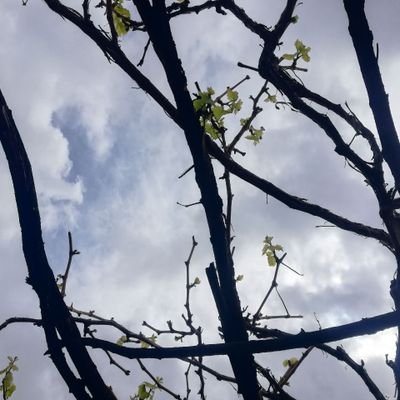 Nargess28's profile picture. Time changes everything.