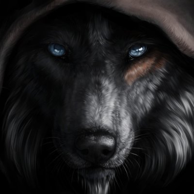 WolfiXrl Profile Picture