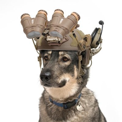 foxtrot11b's profile picture. 