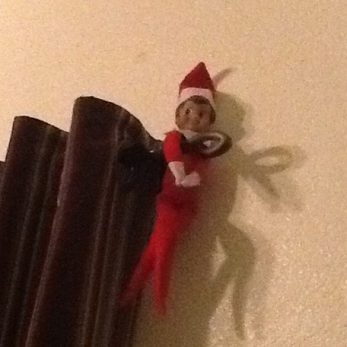 mrgarrison1234's profile picture. 