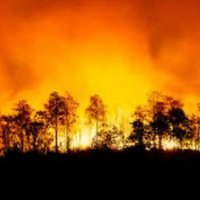 Collserolapaisatgeviu (@collserolapais1) 's Twitter Profile Photo Collserolapaisatgeviu (@collserolapais1) 's Twitter Profile Photo