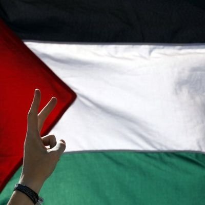 North African, My interests are many #PrayForTheWorld #SpreadLove #FreePalestine #الحرية_لمعتقلي_الرأي #TVShowAddict #SPNFamily #BIGBANG 👑