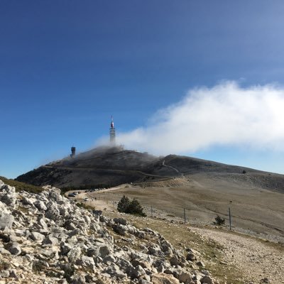 DavidMa18652472's profile picture. Emmerde les emmerdeurs et melon 2000!🇫🇷