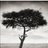 SMART_KEB's profile image
