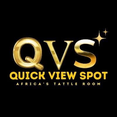 QuickViewSpot Profile Picture
