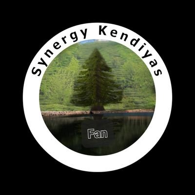 kendiyassnergy Profile Picture