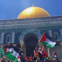 ROWAN❤️🇵🇸(@Rawan_Hamed_10) 's Twitter Profile Photo