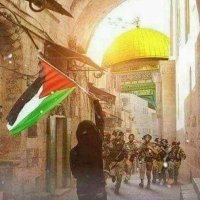 Arhamjani (@ai143n) 's Twitter Profile