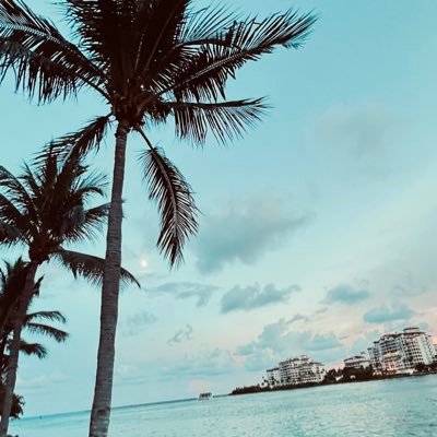 rezendejuridico's profile picture. 