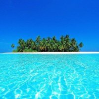 This Is Maldives(@thisismaldives) 's Twitter Profile Photo