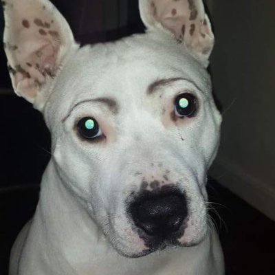 missvjw's profile picture. 