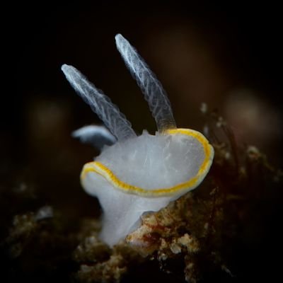 MartaCa81930030's profile picture. 