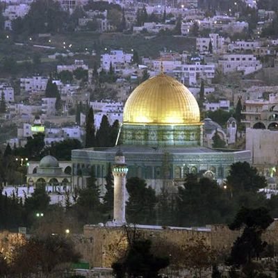 Mramrmadany1's profile picture. Madany