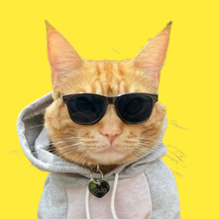 harveyyross's profile picture. just mf tweeting without any second thought