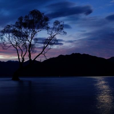 feyzi_mort51781's profile picture. 