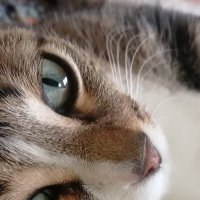 Andaluza23 (@23andaluza) 's Twitter Profile Photo Andaluza23 (@23andaluza) 's Twitter Profile Photo