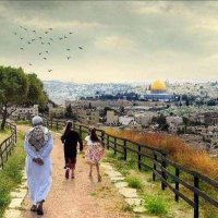 Manal Mustafa (@manal33511540) Twitter profile photo