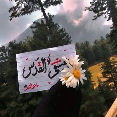 Tasha80262660's profile picture. انا اتنفسکہ عشقا انا
ایک مشکل دلخیز ہے، ہم سے پرہیز کیجئے