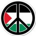 Live_from_Palestine (@4peacewjustice) Twitter profile photo