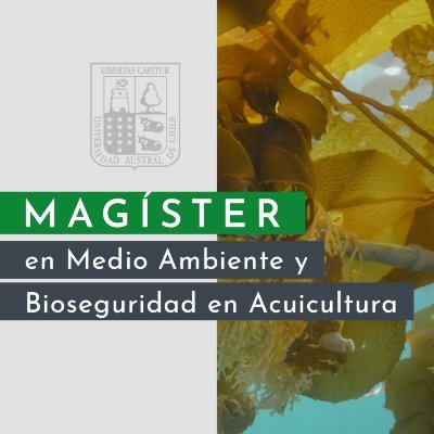 Cuenta oficial del Magíster en Medio Ambiente y Bioseguridad en la Acuicultura de la Universidad Austral de Chile Sede Puerto Montt 📌