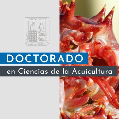 Cuenta oficial del Doctorado en Ciencias de la Acuicultura de la Universidad Austral de Chile Sede Puerto Montt 📌