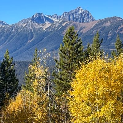 Semi retired country gentleman enjoying the mountain life and Bitcoin